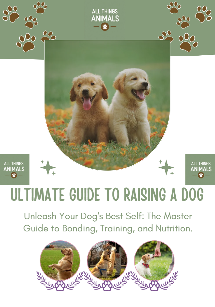 🎁 Pet care guide eBook (100% off)