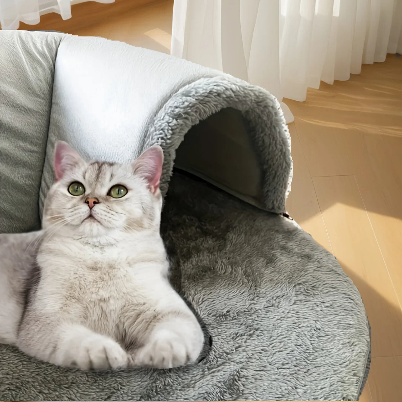 Cat Tunnel Play Mat