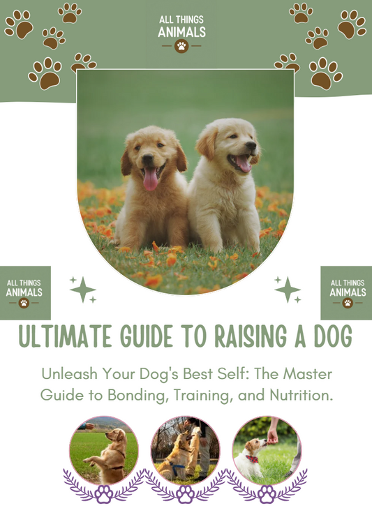 🎁 Pet care guide eBook (100% off)