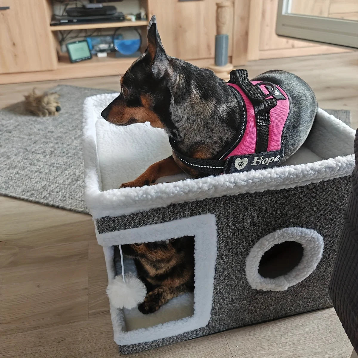 3-in-1 Cat Condo