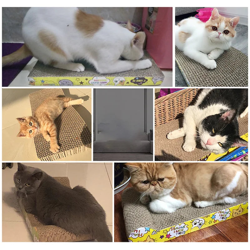 Wave Cat Scratcher Lounge