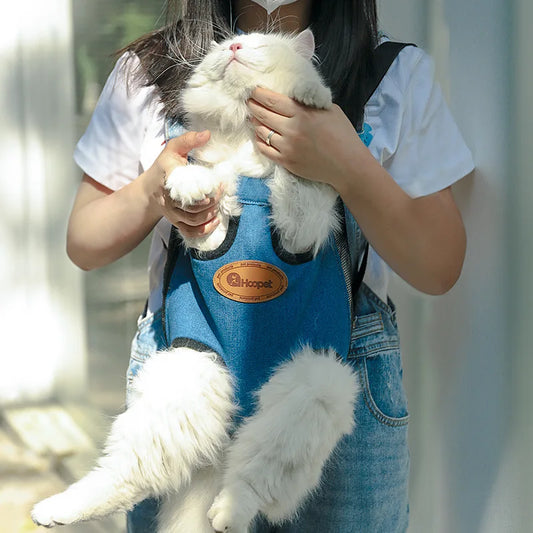 Front pet carrier