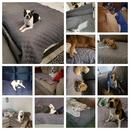 Waterproof Bed Protector