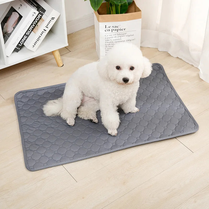Washable Pee Pad