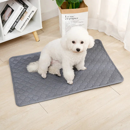 Washable Pee Pad
