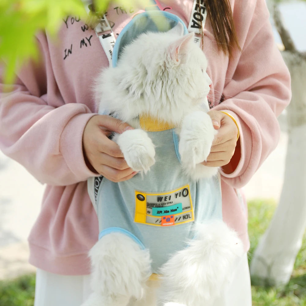 Front pet carrier