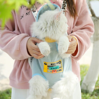 Front pet carrier