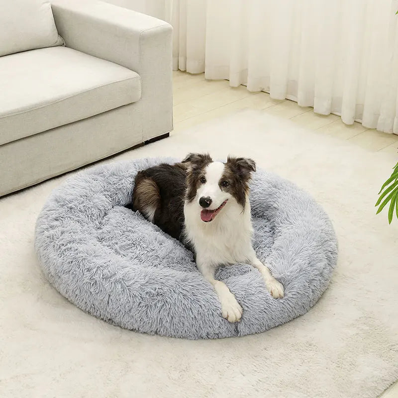The Anti-Anxiety Donut Pet Bed