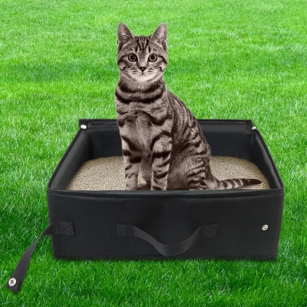 Portable litter box for cats