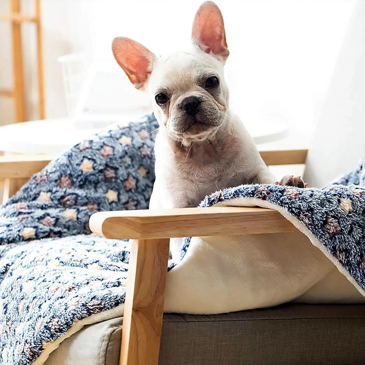 Cozy Star Pet Mat