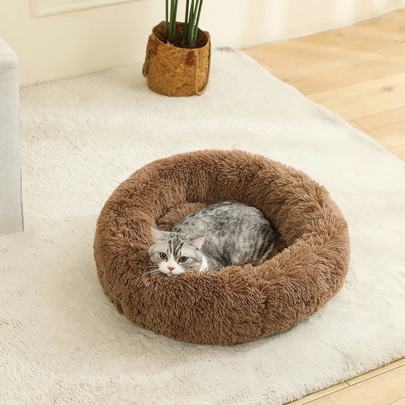 The Anti-Anxiety Donut Pet Bed