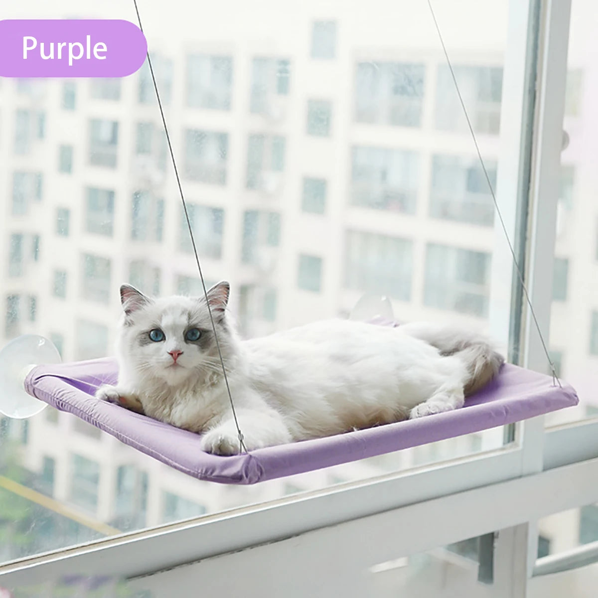 Sunny Seat Window Hammock