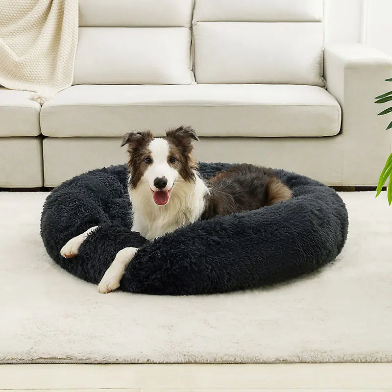The Anti-Anxiety Donut Pet Bed