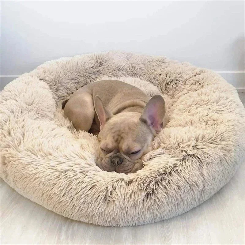 The Cozy Haven Calming Pet Bed