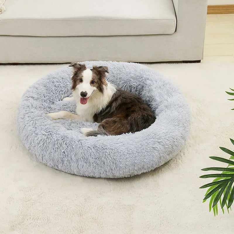 The Anti-Anxiety Donut Pet Bed