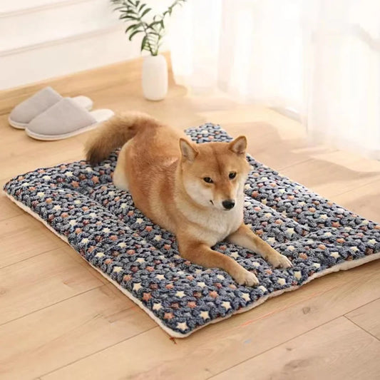 Cozy Star Pet Mat